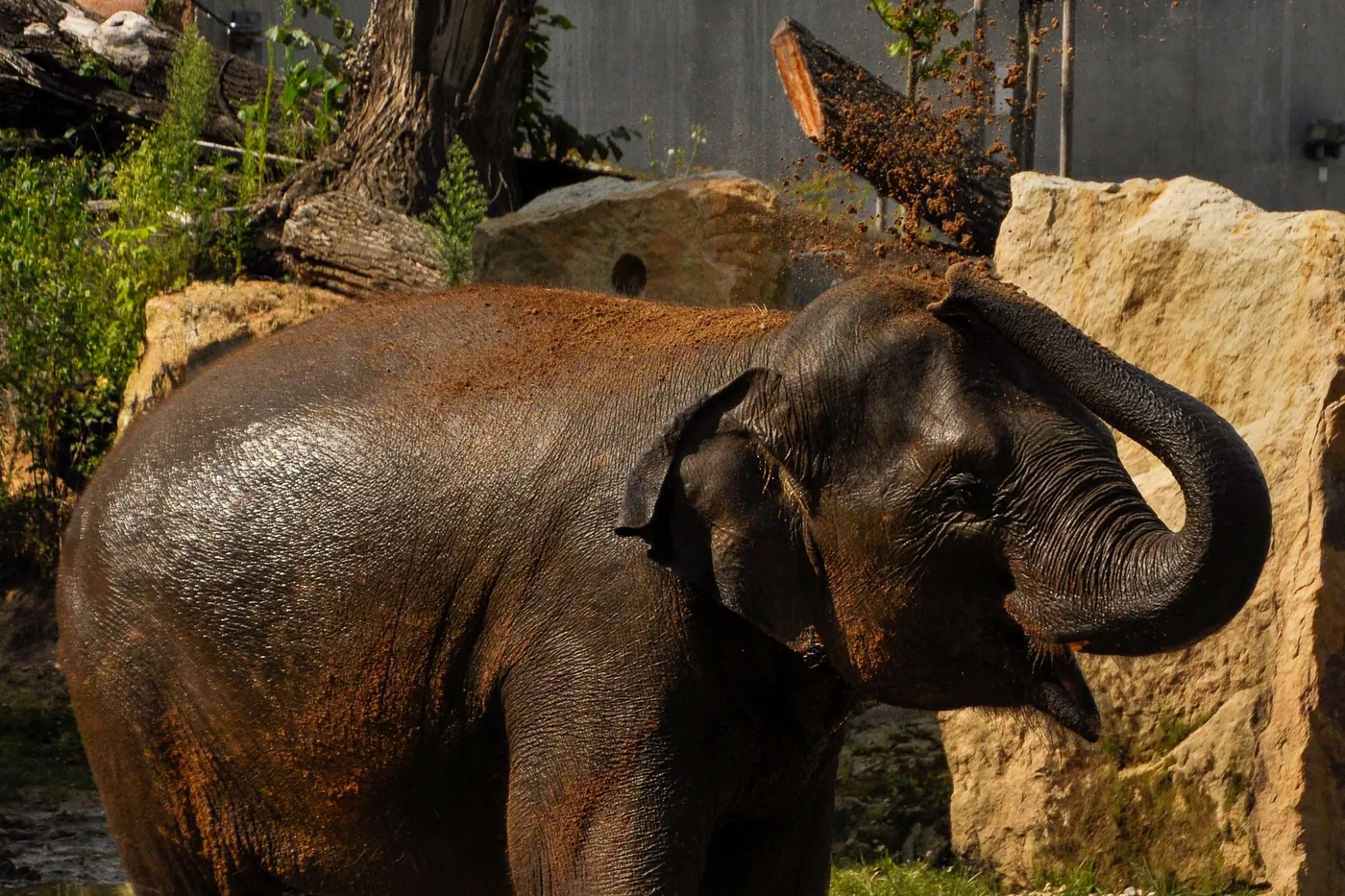 Zoo Prag